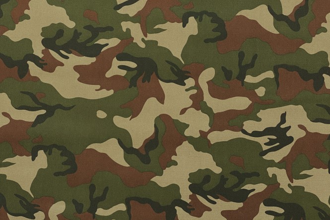 OXFORD 600D - D6 Camouflage Oliv Grün